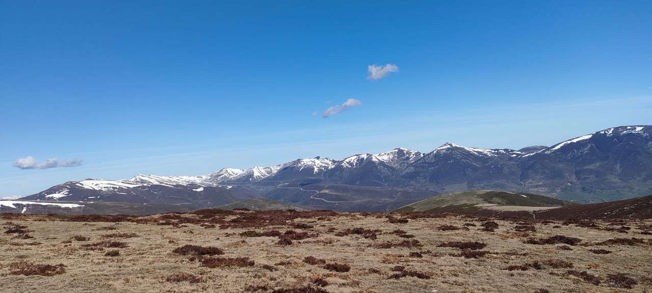 WhatsApp Image 2026-04-08 at 07.40.53